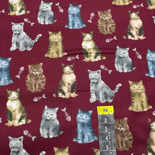Coton Imprimé 569
