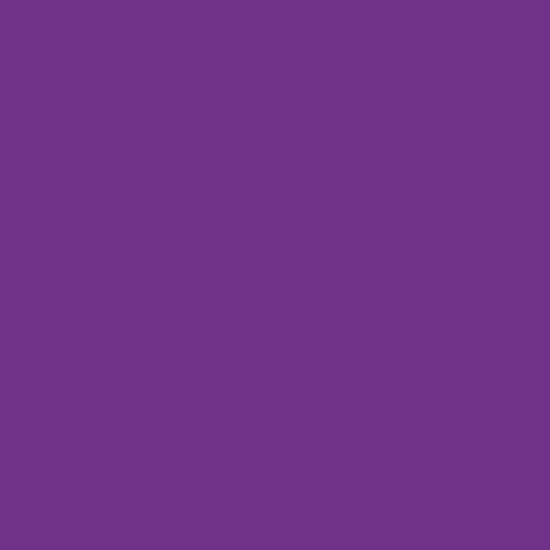 Jersey Coton Violet