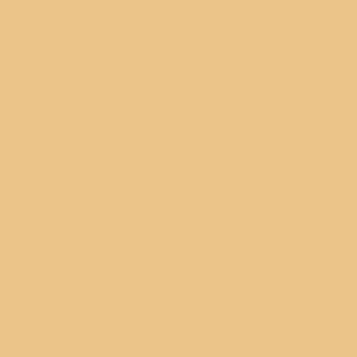 Coton Uni 2e Qualité Beige
