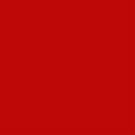 Canevas Rouge