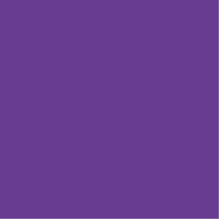 Coton Uni Raisin 0167