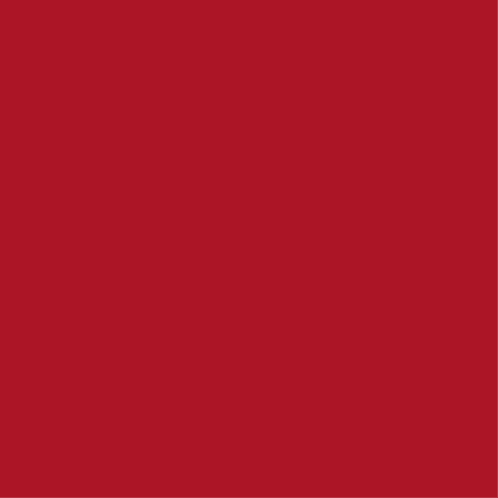 Plain Cotton Cranberry 0128