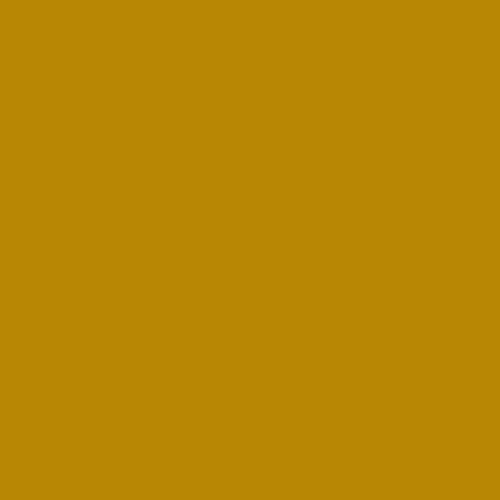 Jersey Coton Dijon