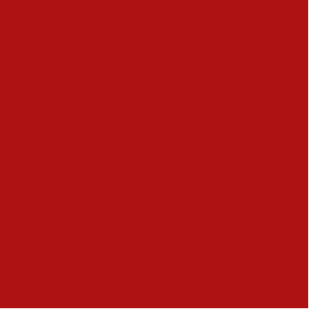 Flanelle Unie Rouge