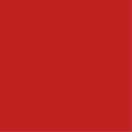 Flanelle Unie Rouge Moyen