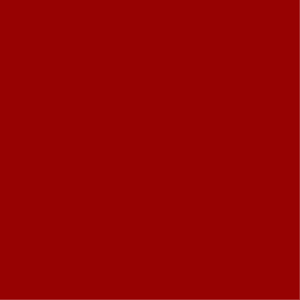 Jersey Coton Framboise