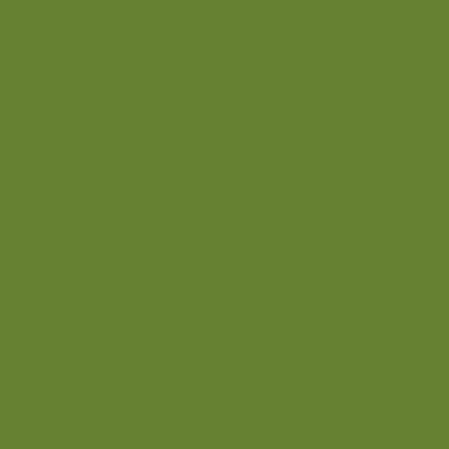 Jersey Coton Olive