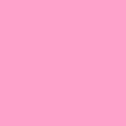 Canevas Rose