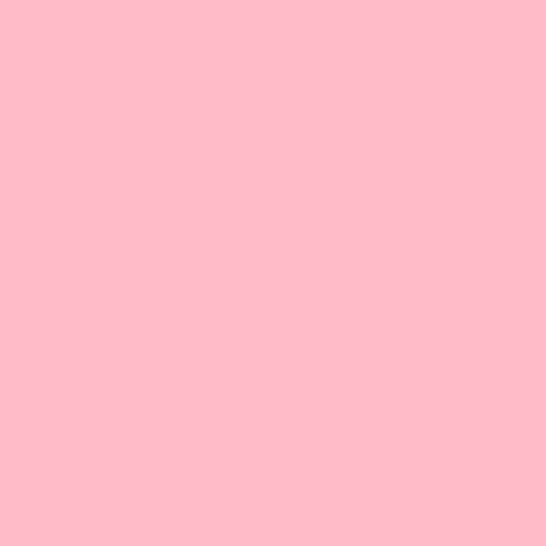 Polar Rose