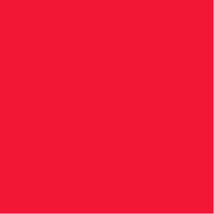 Maillot Rose/Rouge