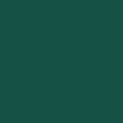 DTY Vert