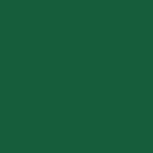 Canevas Vert